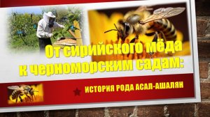 От сирийского мёда к черноморским садам: история красновольского рода Асал-Ашалян