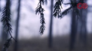 Сатисфакция - Я ненавижу этот мир