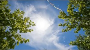 Ангелок  (https://veravdelo.ru/help/view/128?ysclid=mm2f3fgto9212458786) поможем Ангелине!