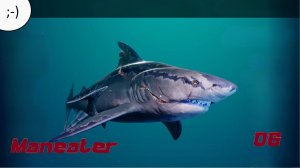 "Maneater".  Поиски и апгрейды. 06