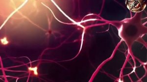 распространение нервного импульса