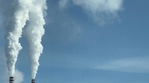 Городские блудни