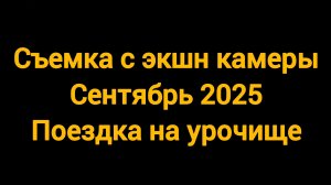 Поездка на урочище #поискмонет #монеты #equinox900 #equinox #minelab #металлоискатель #56