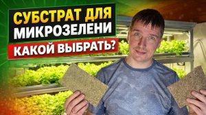 Субстрат для микрозелени. Какой выбрать?