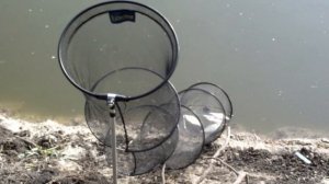 На рыбалку в три утра...