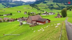 🚶 SmartTV 4К ➤ 🌺 ДЕРЕВЕНСКАЯ ЖИЗНЬ ШВЕЙЦАРИИ В СЕНТЯБРЕ, АППЕНЦЕЛЛЬ! ВОЗВРАЩЕНИЕ С ПАСТБИЩ! 🌺