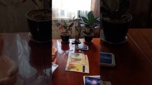 Таро.Кто за вами наблюдает.