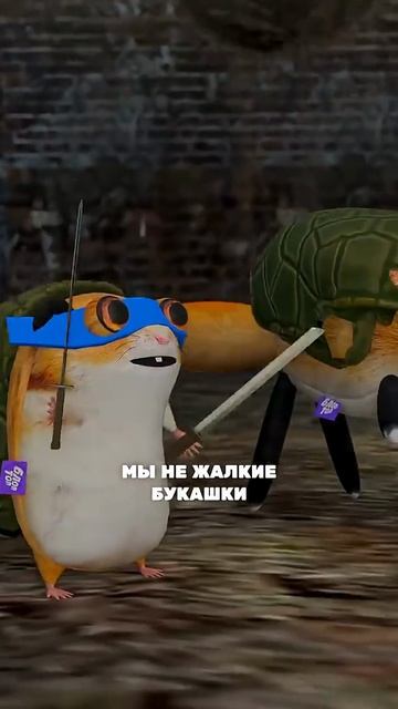 МУЛЬТИВСЕЛЕННАЯ БЛОПТОП