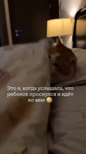 Думала я одна так делаю