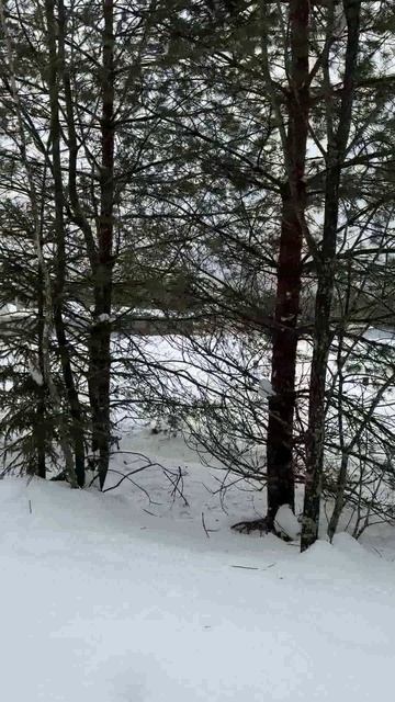 АКЦИЯ! 30% скидка! Продается участок 15 соток в д. Афонасово, Александровский р-н, Владимирская обл. смотреть онлайн