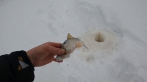 Наконец-то выбрался на рыбалку! Зимняя рыбалка на речке Умытья!