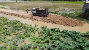 Строительство, восстановление дороги