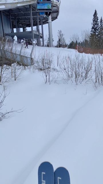 Горные лыжи