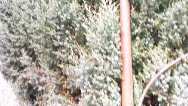 МОЖЕВЕЛЬНИК КОНЕЦ ФЕВРАЛЯ 2026