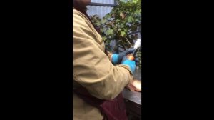 Астрахань_2024