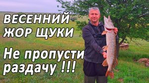 🔥 Весенний ЩУЧИЙ ВЗРЫВ! Две ОГРОМНЫЕ ЩУКИ на один воблер, всего за час. Сумасшедшие поклевки! 🔥