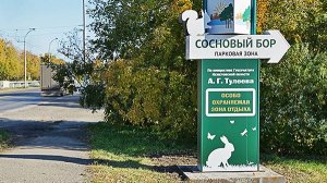 Кемерово. Кузбасс. Сосновый Бор. Лыжный спорт. Где отдохнуть Кемерово. Где покататься на лыжах. Лес