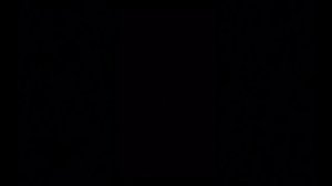 У нас появился новый друг тюфик и он устроил драку с белкой точнее это белка устроила драку с тюфико