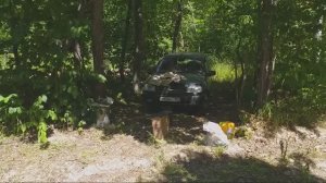 В горах на липе.