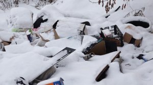 СВАЛКА НА ТОМСКОЙ