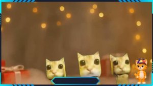 АЙ МИ ГАТИТО ТИК-ТОК РЕМИКС! КОТИКИ ТАНЦУЮТ ПОД ЭНЕРГИЧНУЮ МУЗЫКУ! 😾😼😽 МЯУ-МЯУ! РЕАКЦИЯ!