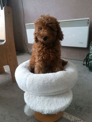 Я построил самый огромный город