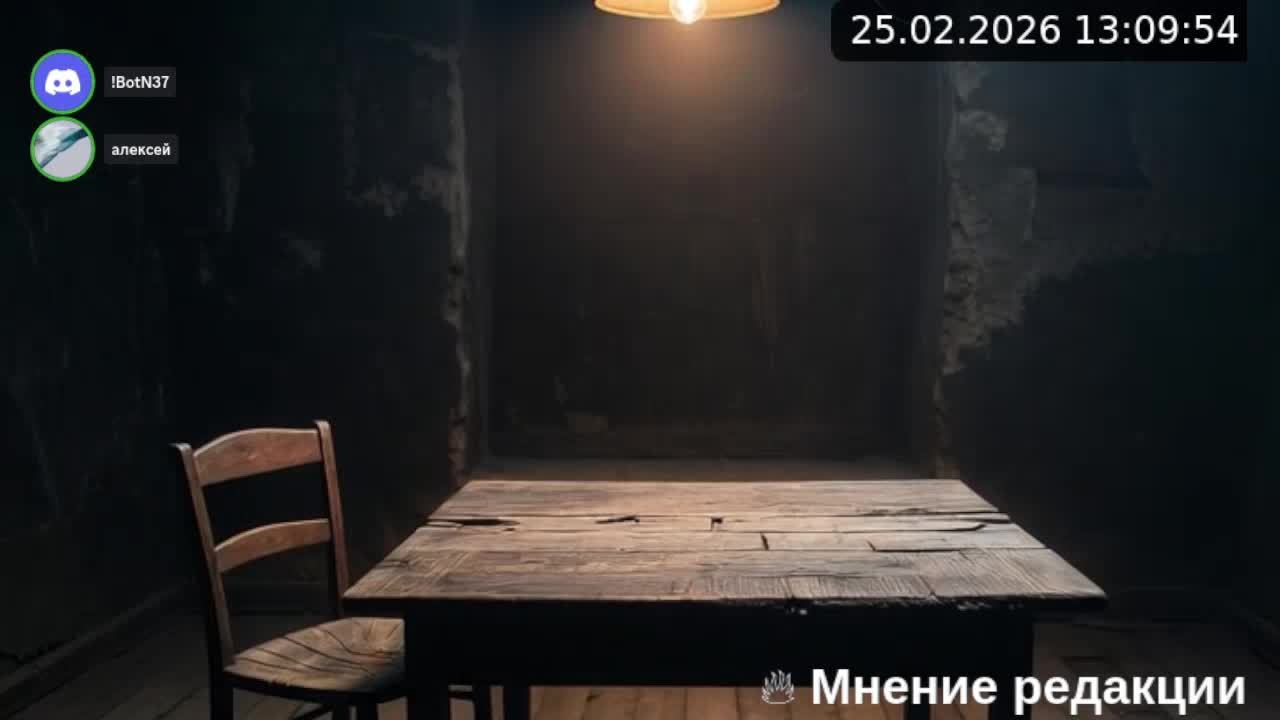 LIVE: NEW 37 смотреть онлайн