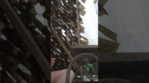 гимнастика