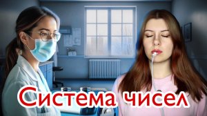 Система чисел