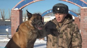 Кинологи Росгвардии обучают служебных собак поиску взрывчатки в Тюмени