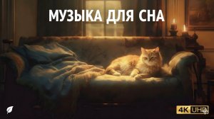 Бесконечное ночное течение | Музыка для сна