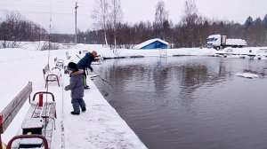 Ловля форели на 1-м Вип РК" Фишка Петряиха"