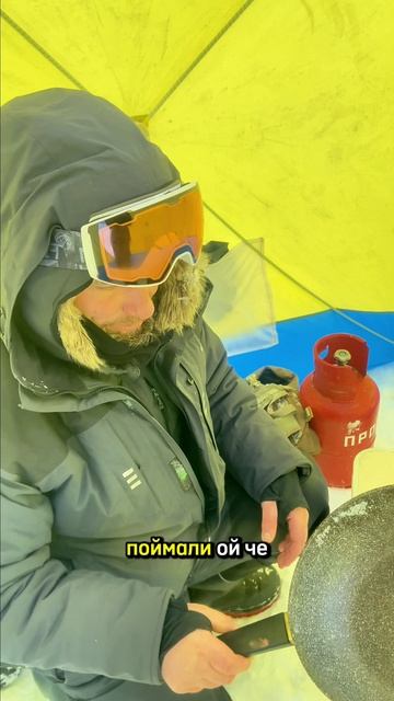 Корюшка зимой и белый орлан