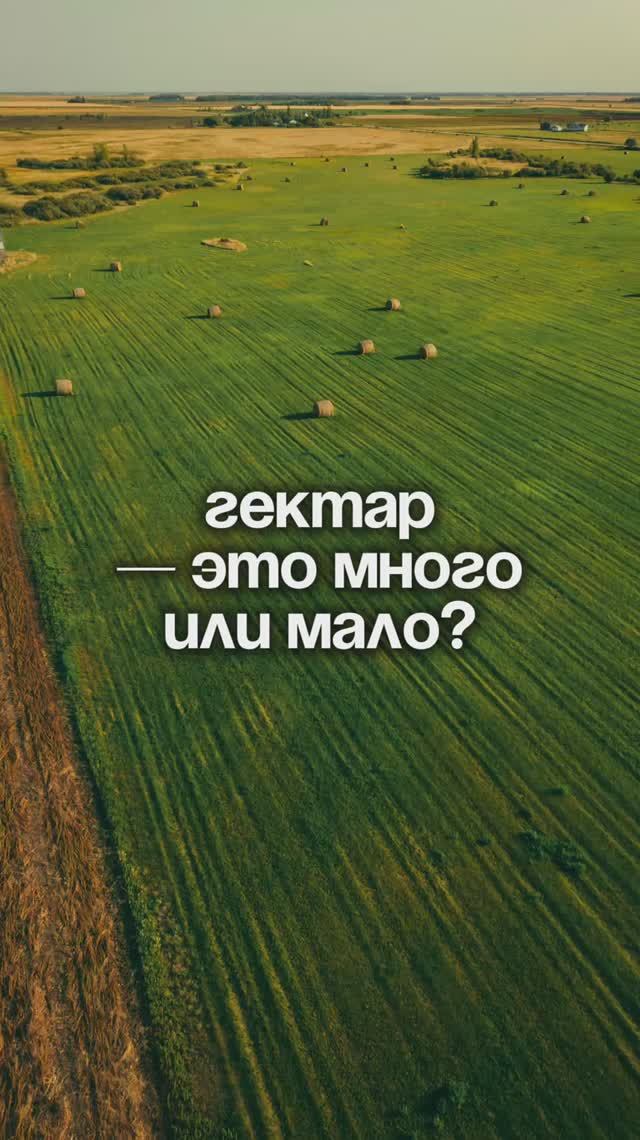 Один гектар это мало или много? | Крымский Гектар
