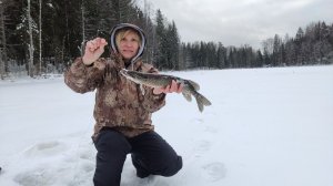 Жерлицы на щуку Доработка Жерлиц Достоинства и недостатки жерлиц