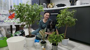 ВМЕСТЕ ГОТОВИМ ОБЕД / ПРОВОДИЛИ ЗИМУ/ ПЕРЕСАДИЛИ ФИКУСЫ