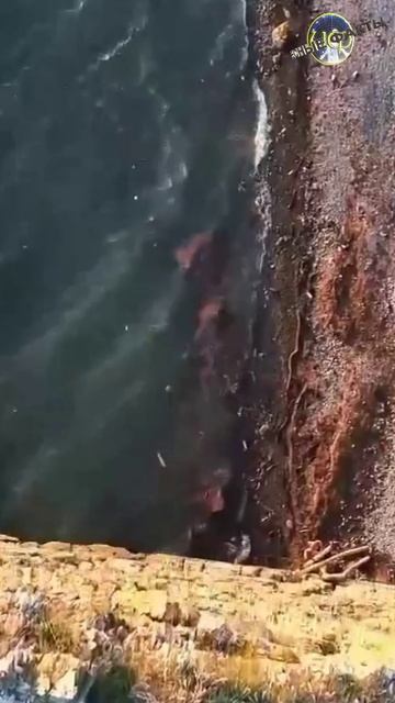 СКАЛА-ПАРУС, Россия, Геленджик (@infackts)