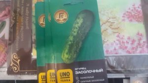 Что купила для души. Чем планирую заниматься.