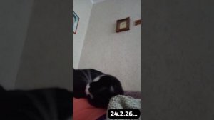 Последние дни уходящей зимы.