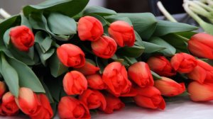 ЦВЕТОЧНЫЙ КОНТРОЛЬ