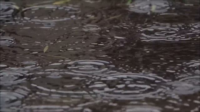 Лучшая в мире классическая инструментальная музыка, расслабляющая гитарная музыка снимает стресс смотреть онлайн