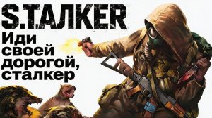Ты — МЯСО для Зоны. Вся иерархия S.T.A.L.K.E.R. (7 Уровней)