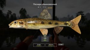 Русская рыбалка 4. Вьюнок и пескари