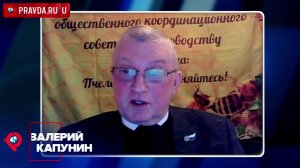 Когда в улей приезжает звезда селекции: как один завоз рушит годы племенной работы