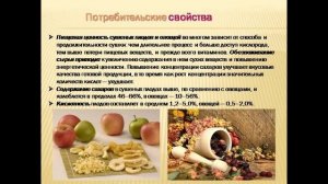 651, МДК 01.03, 02.03.2026 - Продолжение темы «Сушеные плоды и овощи»
