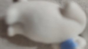 какой котик понравился тебе?🐈🍃💐.