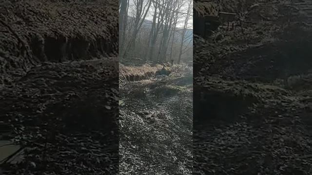 заброшенные непролазные дебри смотреть онлайн