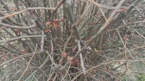 Природа оживает!