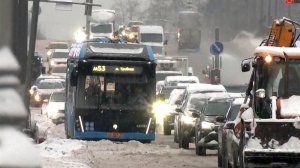 За сутки в Москве выпала четверть месячной нормы осадков.