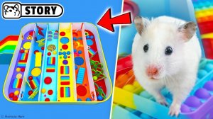 Игра-лабиринт Hamster Pop It с бассейном 🐹 Хомяк Хомура